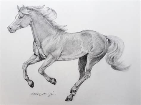 Pencil drawing , 50x70cm. (20 inches tall by 28 inches wide ). Author: Ettore Mangia. Pencil ...