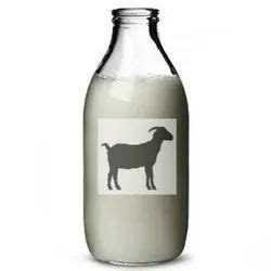 Goat Milk at Best Price in India