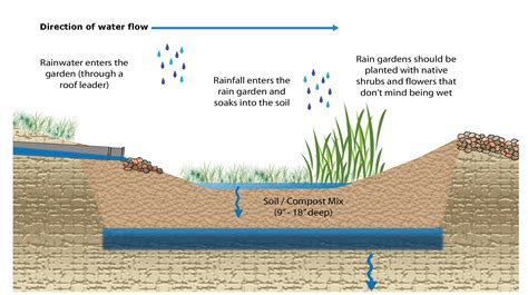 Rain Gardens Landscaping - Omaha NE