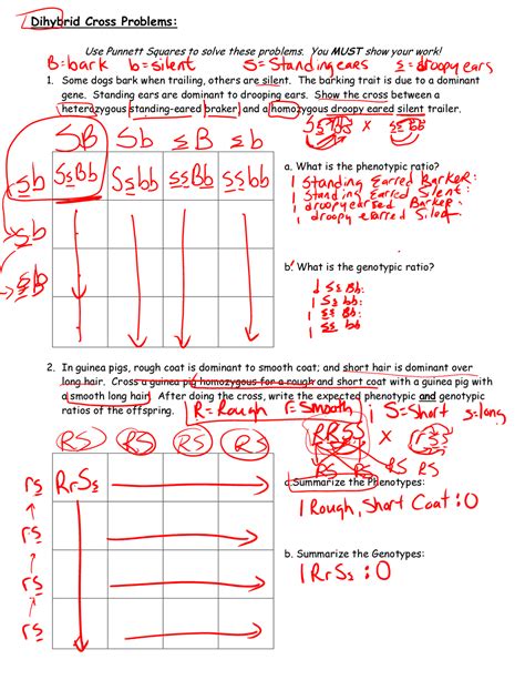 Dihybrid Cross Problems: | Lecture notes Genetics | Docsity