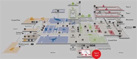 Natural History Museum Map