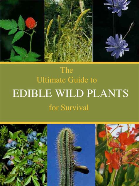 EDIBLE WILD PLANTS the Ultimate Survival Guide What to Eat and What is ...