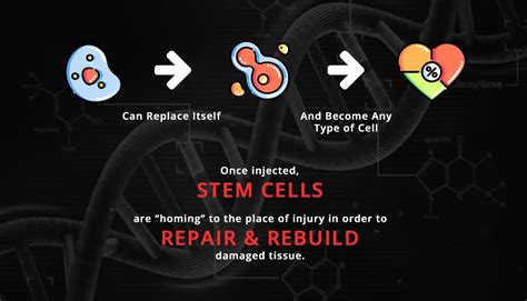 STEM CELL – Stemcell Wellness