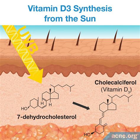 How Can You Get the Right Amount of Vitamin D? - Acne.org