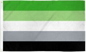 Aromantic Pride Flag 3x5ft with Grommets LGBTQIA Aro Pride A-romantic ...