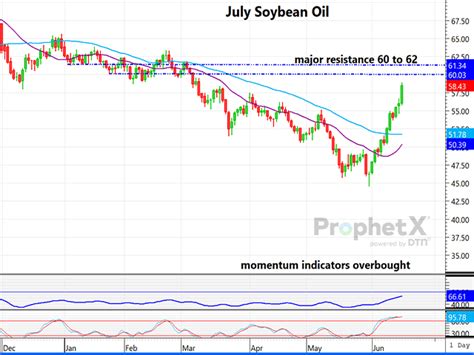 Somethings Has to Give: Soybean and Oil Markets Appear Overdone