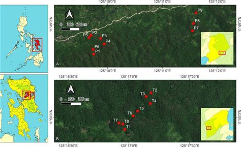 Location of the study sites at Samar Island Natural Park, Samar Island,... | Download Scientific ...