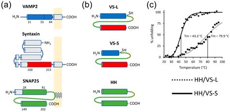 Biomolecules | Free Full-Text | SNARE Modulators and SNARE Mimetic Peptides