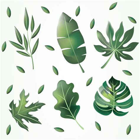 Green Leaves Clipart Vector Pack 358885 Vector Art at Vecteezy