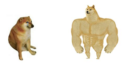 Swole Doge vs. Cheems flipped Meme Generator