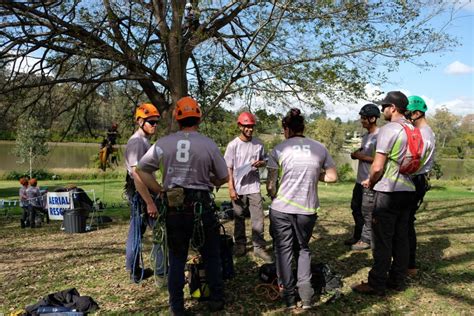 Queensland Tree Climbing Competition - Treescape