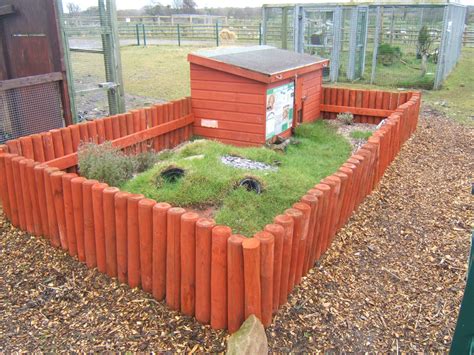 View of Eastern Herman Tortoise enclosure | ZooChat