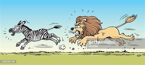 Lion Hunting A Zebra Stock Clipart | Royalty-Free | FreeImages