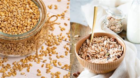 Barley vs Oats: Which Is Healthier? - Holy Peas