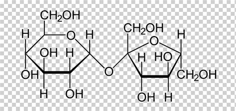 Sacarosa fórmula estructural molécula fructosa modelo molecular, intestino delgado, diverso ...