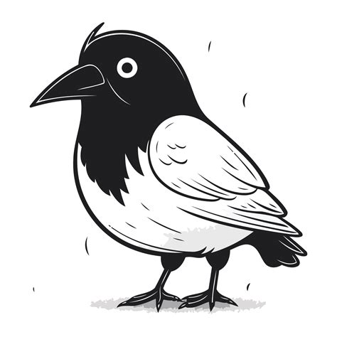 Crow on a white background. Vector illustration of a crow. 33286314 ...