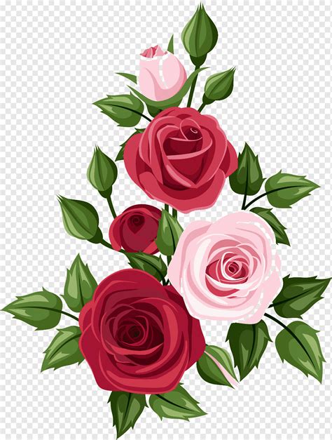 Handgemalte Rosen, Karikatur, Blumen, Hand png | PNGWing