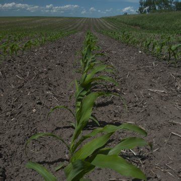 Why Tillage Erosion Is Bigger Than Wind and Water Erosion | Successful ...