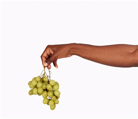 Hand Holding Green Grapes - High Quality Free Stock Images