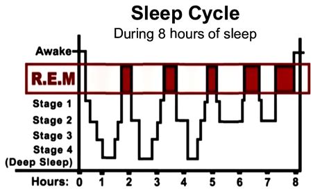 The REM Rebound Effect | Sleep cycle, Rebounding, Sleep deprivation