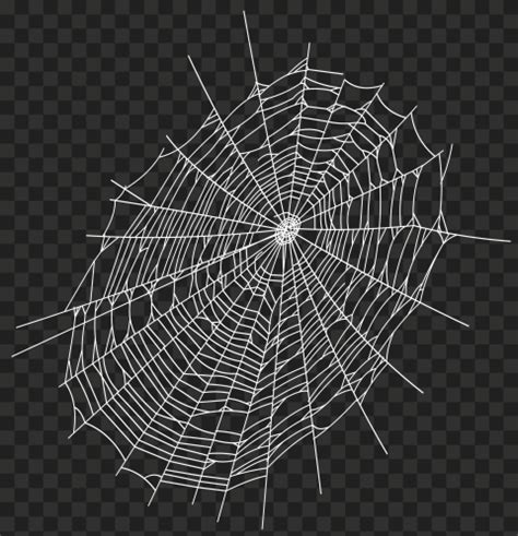 HD Halloween White Spider Web Transparent Background | Citypng