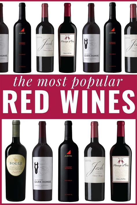 The Best Red Wines - Best Red Wines for Beginners | Best red wine, Red wine, Red blend wine