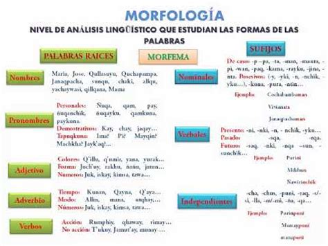 FONOLOGÍA Y MORFOLOGÍA - YouTube