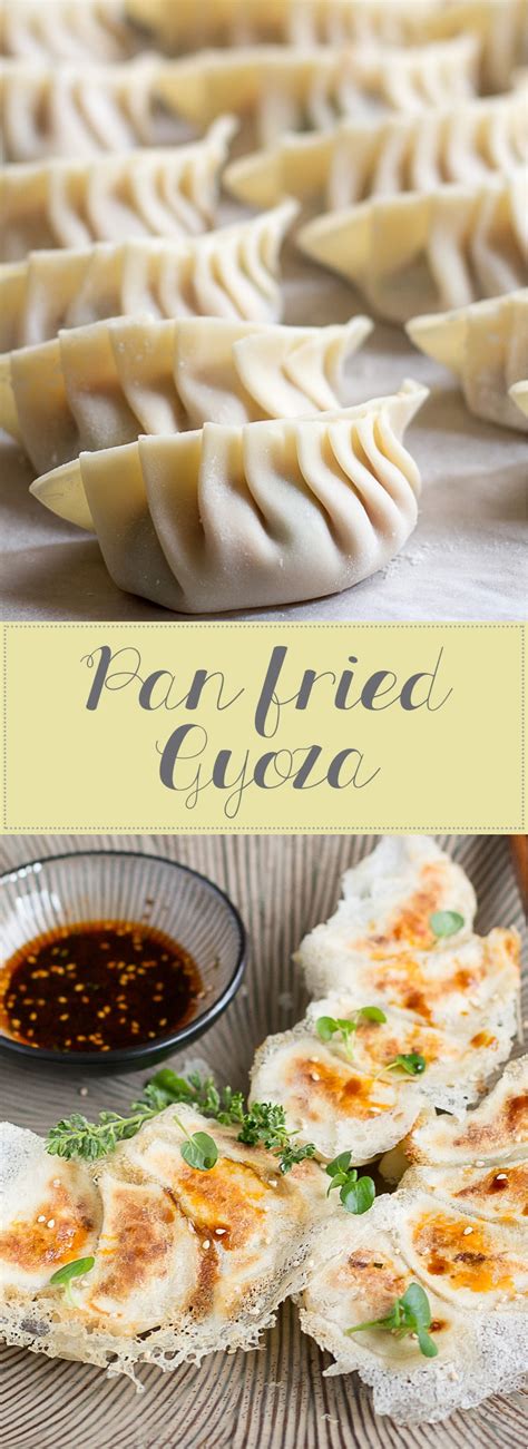 Pan-fried Gyoza with Crispy Lattice Coating | Chopstick Chronicles