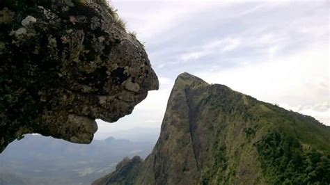 Kolukkumalai Tea Estate-Highest Tea Plantation in the world | Munnar Insider Travel Blog