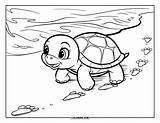 120  Coloriages De tortues Pour Enfants Et Adultes PDF Gratuits à sketch template