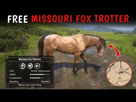 How To Get Free Missouri Fox Trotter Horse With Location - RDR2 - YouTube