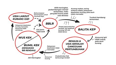 Konsep Dasar Gizi dalam Siklus Kehidupan | Cegah Stunting