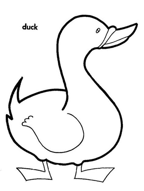 Outline Of Duck - Coloring Home