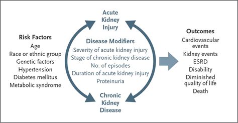 Chronic Kidney Disease Pathophysiology