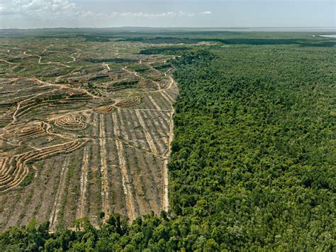 Edward Burtynsky (kottke.org)