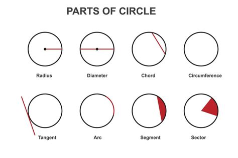 different parts of a circle. Radius, diameter, circumference, chord ...