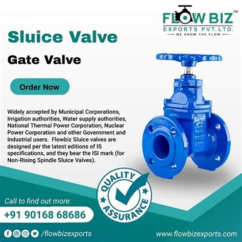 Sluice Gate Valve Manufacturer