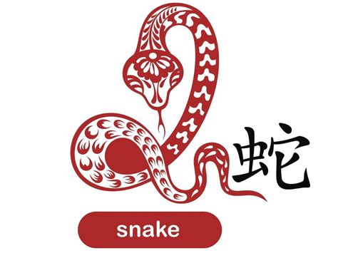 Snake Chinese Zodiac Signs | My Chinese Recipes