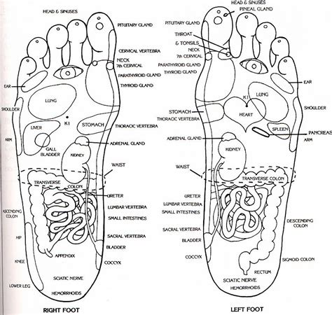 Treat Problems with TCM reflexology | China Acupuncture & Herbal Clinic | Port Coquitlam ...