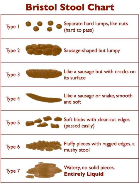 What Your Stool Can Reveal About Your Health - Bowhead Health - Medium