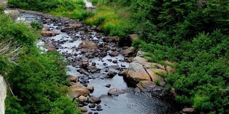 Conception Bay South, Newfoundland and Labrador 2024: Best Places to Visit - Tripadvisor