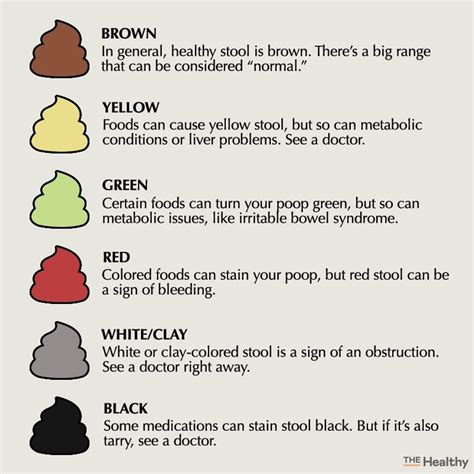 poop stool color changes color chart and meaning healthy concept stock ...