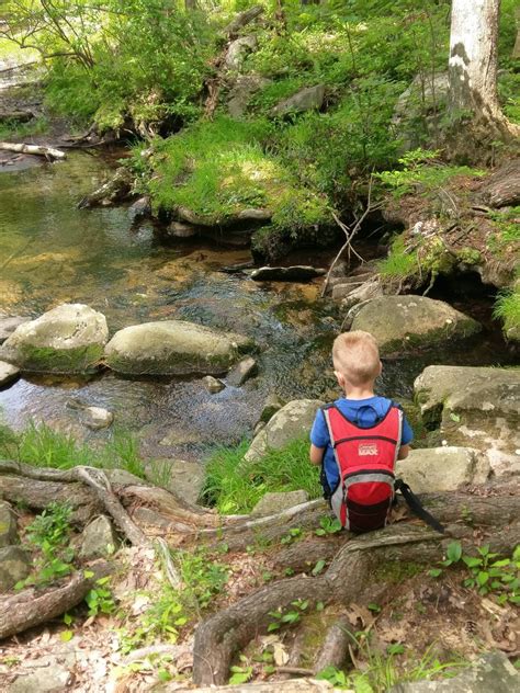 Enjoying the Woods ,Pinchot Trail, Pinchot State Forest, Pennsylvania ...