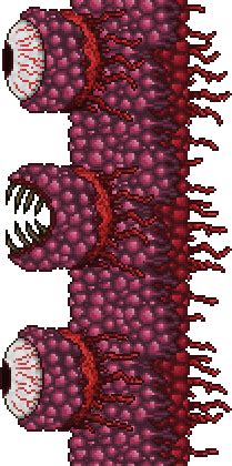 Wall of Flesh - The Official Terraria Wiki