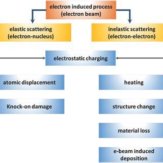 The different electron beam irradiation–induced processes produced at... | Download Scientific ...