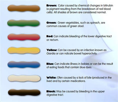 12 free printable stool color charts word pdf - poop stool color changes color chart and meaning ...
