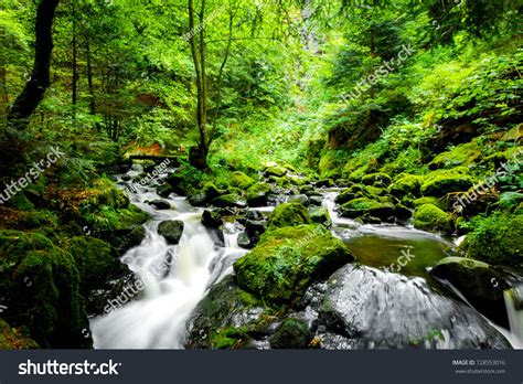 2,816,071 Nature Forest River Stock Photos, Images & Photography ...