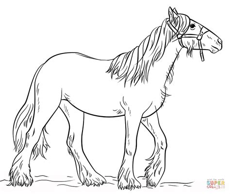 Gypsy Vanner coloring page | Free Printable Coloring Pages