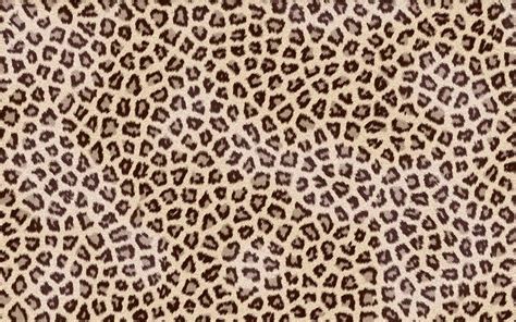 Leopard Print Screensaver Wallpapers in 2024 | Cute laptop wallpaper, Laptop wallpaper, Cheetah ...