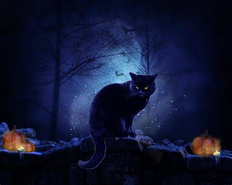 Free Halloween Cat Wallpaper